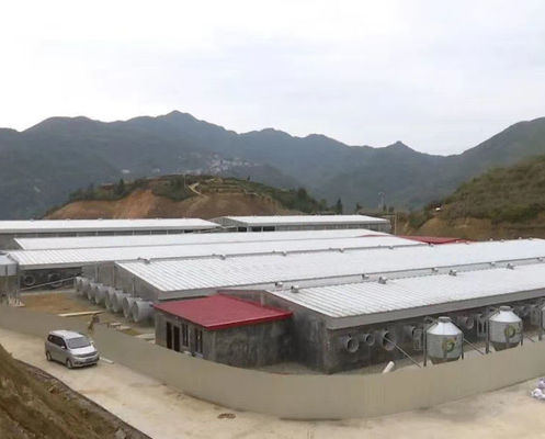 Galvanized Prefabricated Steel Structure with Q355 Q235B Steel Grade
