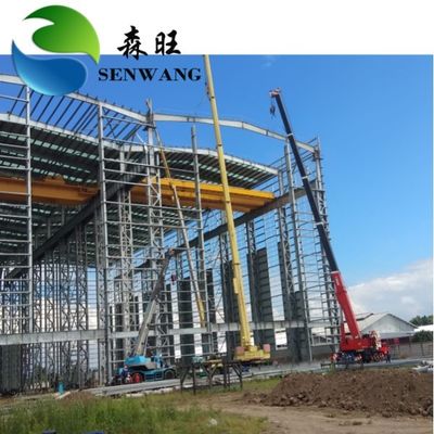 Long Span Structure Steel Engineering Building Galvanized Or Painted Steel Frame Surface
