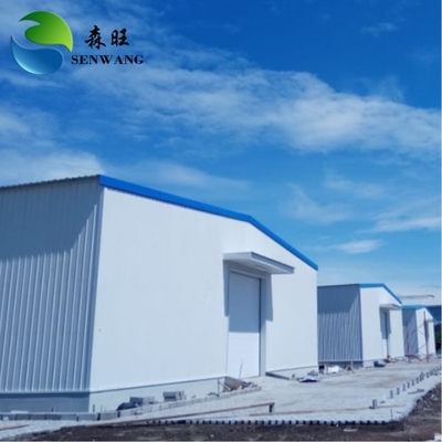 Custom Steel Structural Building with Skylight and Grid Support