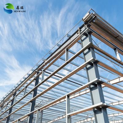 Heavy-Duty Steel Structure Warehouse with 16% Roof Pitch and CAD Drawing Design