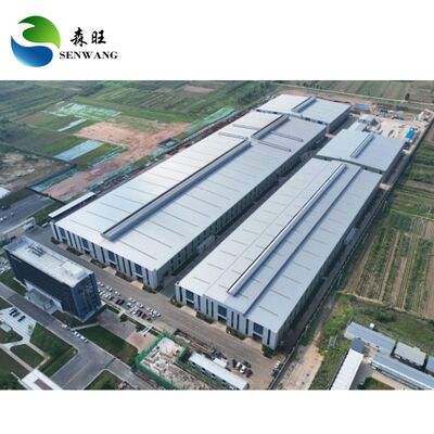 5Tons Crane Capacity Steel Structure Warehouse with Hot Dipped Galvanized Purlin and 20-50 Years Lifespan for Industrial Storage