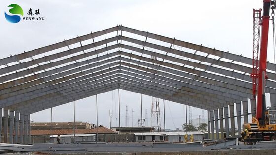 Affordable Steel Structural Building with Engineers Guidance for Fast Construction Time