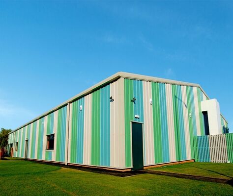Durable Galvanized or Painted Steel Structure with Modular Design for Storage Applications