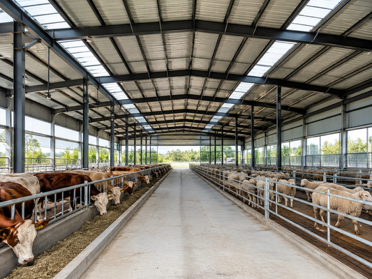 Roof Live Load 035kn M2 Light Steel Structure Warehouse Steel Storage Building Durable and Solution for Industrial Storage Needs