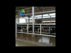 Prefabricated Steel Cattle Barn & Poultry House Project